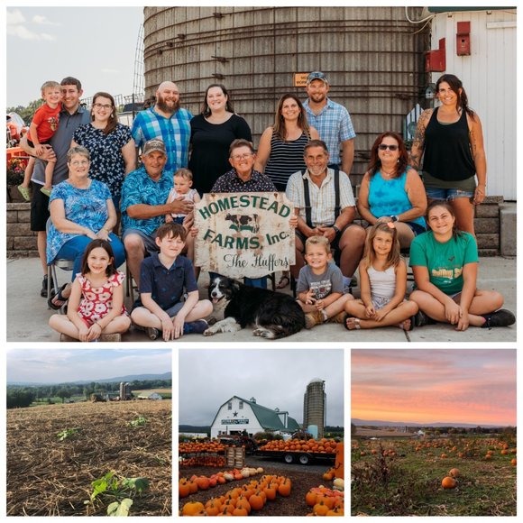 Meet your Posher, Mandy - Picture 3 of 5